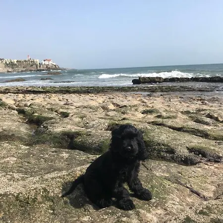 Konukevi Garden Estoril